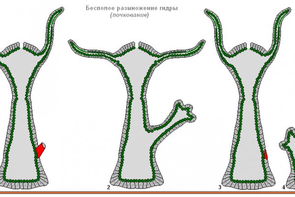 Кракен ссылка тор браузер