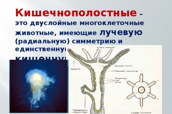 Зеркало тор браузера