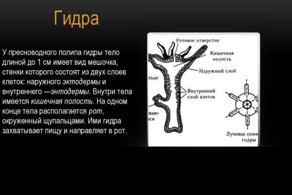 Кракен как войти через тор