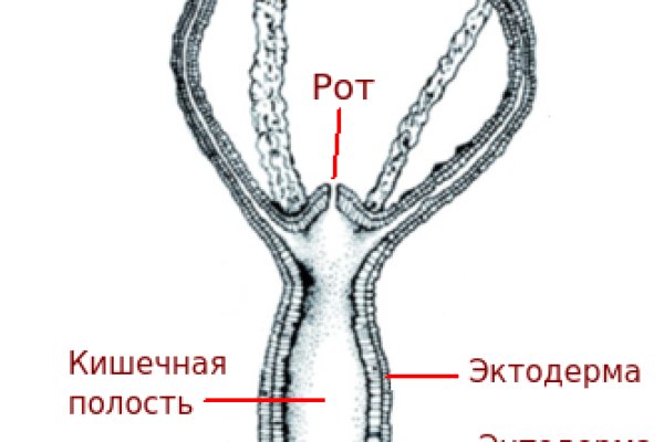 Что такое кракен сайт